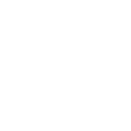 Institutional trust icon